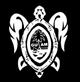 ANCHING Image